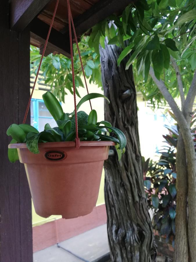 Coco Country Homes Malacca Екстериор снимка